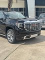 New 2025 GMC Sierra 1500 Denali image 2