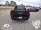 New 2025 Ford F150 Platinum w/ Equipment Group 702A High image 4