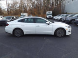 Used 2022 Hyundai Sonata Limited image 2