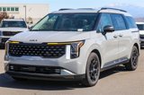 New 2025 Kia Carnival SX Prestige image 4