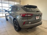 New 2025 Ford Escape ST-Line Elite w/ Premium Technology Package image 4