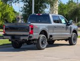 New 2025 Ford F250 Platinum image 5
