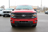 New 2025 Ford F150 XLT w/ Equipment Group 302A MID image 3