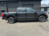 Used 2023 Ford F150 XLT w/ Equipment Group 302A High image 2