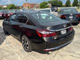 Used 2016 Honda Accord EX-L image 3
