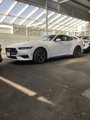 Used 2024 Ford Mustang Coupe image 3