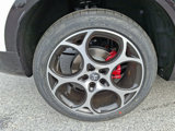 New 2025 Alfa Romeo Tonale w/ Premium Package image 6