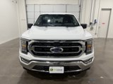 Used 2023 Ford F150 XLT w/ Equipment Group 302A High image 2