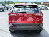 Used 2025 Toyota RAV4 XLE Premium image 4