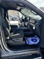 New 2025 Ford F150 XLT w/ Equipment Group 301A Standard image 2
