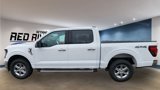 New 2025 Ford F150 XLT image 2