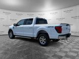 Used 2024 Ford F150 XLT w/ Mobile Office Package image 3