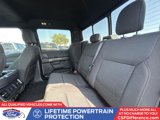 Certified 2024 Ford F150 XLT w/ Equipment Group 302A MID image 4