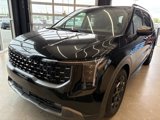 New 2025 Kia Carnival SX Prestige image 5