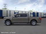 New 2025 Ford F150 XLT image 3