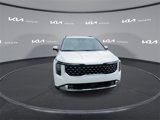 New 2026 Kia Carnival SX image 4