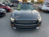 Used 2017 Ford Mustang Premium w/ Equipment Group 201A image 4