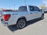 Certified 2024 Ford F150 STX image 5