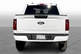 New 2025 Ford F150 STX w/ STX Black Appearance Package image 4
