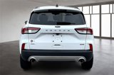 Used 2021 Ford Escape SEL image 5