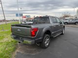 New 2025 Ford F150 XLT image 6