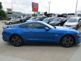 Used 2019 Ford Mustang GT w/ Equipment Group 301A image 2