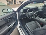 Certified 2024 Ford Mustang GT Premium image 3