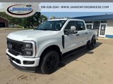 New 2025 Ford F250 XL image 3