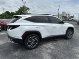 Certified 2025 Hyundai Tucson Limited image 5