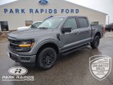 New 2025 Ford F150 XLT image 1