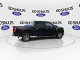 Used 2021 Ford F150 XLT w/ Equipment Group 302A High image 2