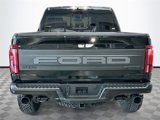 Used 2025 Ford F150 Raptor image 5