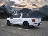 New 2025 Ford F150 Tremor image 4