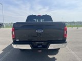Used 2021 Ford F150 XLT w/ Equipment Group 301A Mid image 6