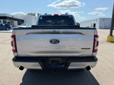Used 2022 Ford F150 Tremor w/ Equipment Group 402A High image 4