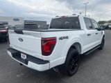 New 2025 Ford F150 STX image 3