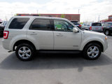 Used 2008 Ford Escape Limited image 6