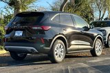 Used 2025 Ford Escape Active w/ Tech Pack #1 image 5