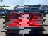 New 2025 Ford F150 STX w/ STX Black Appearance Package image 6