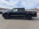 New 2025 Ford F150 XLT w/ Equipment Group 302A MID image 6