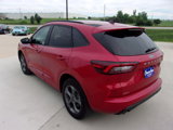 Used 2023 Ford Escape ST-Line image 5