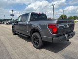 New 2025 Ford F150 XLT w/ Equipment Group 302A MID image 6