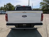 New 2025 Ford F150 Lariat w/ Equipment Group 501A Mid image 5