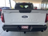 New 2025 Ford F150 STX image 5