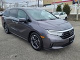 Used 2022 Honda Odyssey Elite image 4