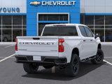 New 2025 Chevrolet Silverado 1500 Custom Trail Boss w/ Turbomax Blackout Package image 5