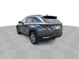 Used 2023 Hyundai Tucson Blue image 4