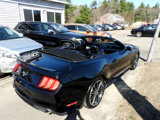 Used 2019 Ford Mustang Premium w/ Equipment Group 201A image 6