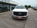 New 2025 Ford F250 XL w/ XL Chrome Package image 2