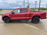 New 2025 Ford F150 XLT w/ Equipment Group 302A MID image 6